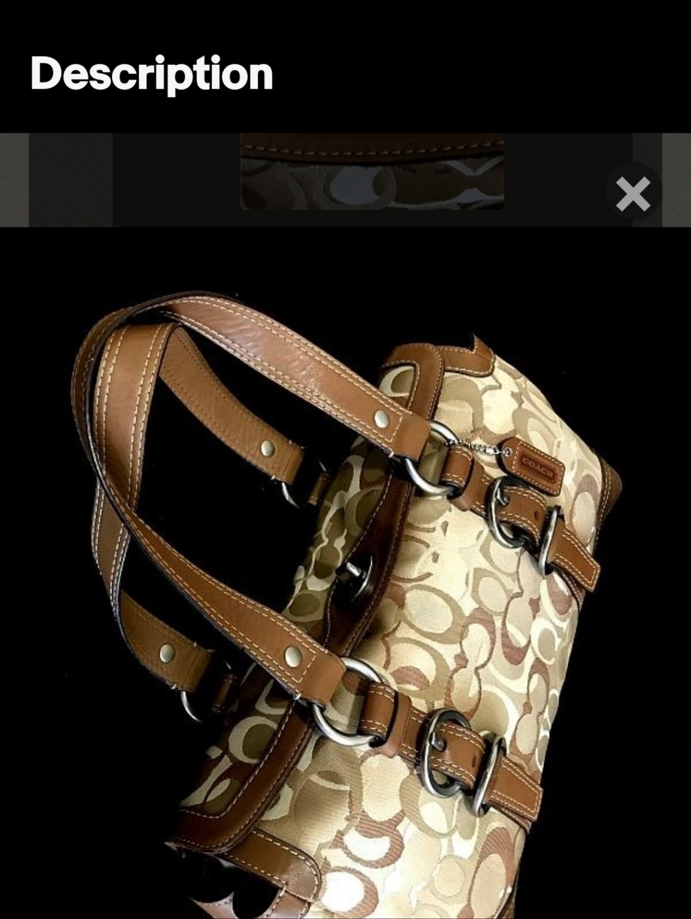 Special Edition Optic  & Coach Chelsea  Leather Bag - Tan Interior Accent - Picture 6 of 9